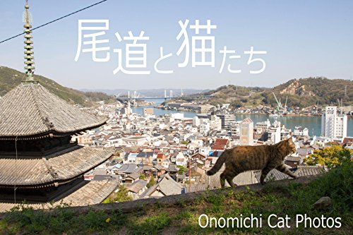 尾道と猫たち: OnomichiCatPhotos