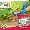 Muriate of Potash 0-0-60 Fertilizer Made in USA - MOP Potassium Plant Food for Indoor/Outdoor Plants, Flower Gardens, Fruit and Vegetable Gardens, Holistic Herbs, Trees and Green Lawns!