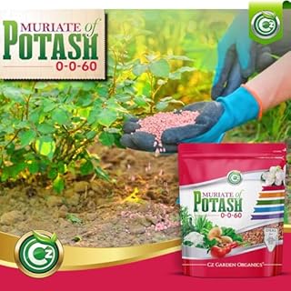Muriate of Potash 0-0-60 Fertilizer Made in USA - MOP Potassium Plant Food for Indoor/Outdoor Plants, Flower Gardens, Fruit and Vegetable Gardens, Holistic Herbs, Trees and Green Lawns!