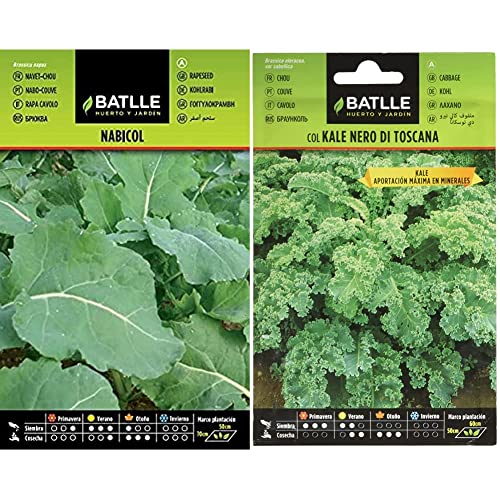 Nabicol, semillas para plantar & Col KALE Nero di Toscana