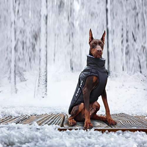 Sgqcar Dog Winter Jackets Cold Weather Dog Coats With Harness & Furry Collar, Waterproof Reflective Pet Warm Clothes For Hiking Camping With Zipper For Medium Large Dogs 2Xl… #TOP5