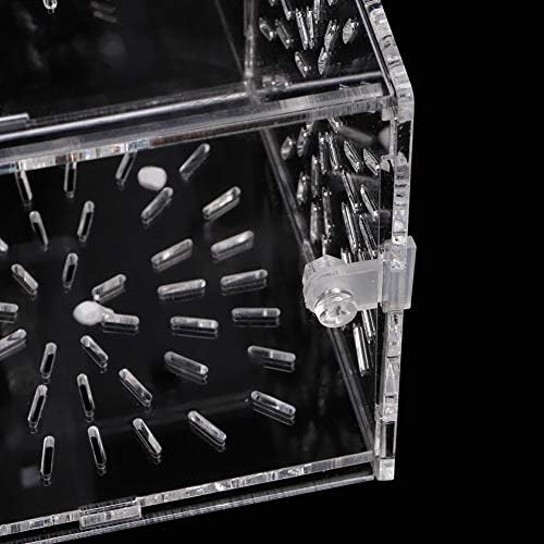 Fish Separation Breeder Box, Acrylic Fish Tank Breeding Isolation Box Aquarium Hatchery Incubator Holder(C-30x10x10cm)