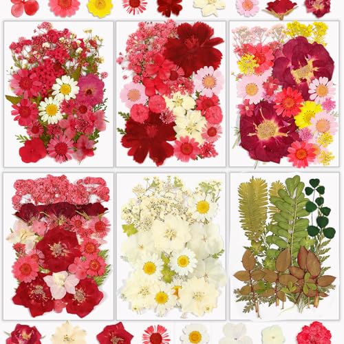 Image of Dried Flowers, Resiners 174Pcs Pressed Flowers for Craft Red Real Natural Dried Flowers Dry Leaves Kit for DIY Making Crafts Resin Soap Candle Scrapbook Supplies Card Making Jewelry