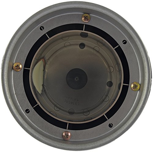 Dorman 909-035 Rear Wheel Cap Compatible With Select Ford Models #TOP2