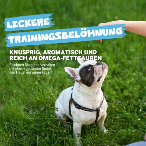 Pets Purest Sprotten Hundesnack & Katzensnack 100g - Natürlicher, luftgetrockneter Fischsnack für ausgewachsene/ältere Hunde, Welpen, Katzen - Getreide-, Gluten- & laktosefreie