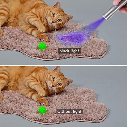 XURLEQ Cat Toys for Indoor Cats, Funny Cat Laser Pointer, Pet Toys for Kitten Indoor Playing with USB Charging Cable (1 PCS)