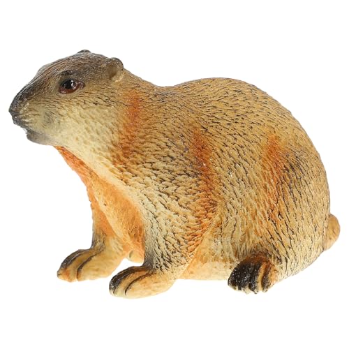 Healifty Figurine Marmotte Simulation Réaliste Décorative pour Jardin Bureau Apprentissage Cognitif Adorable