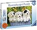 Ravensburger Puzzle, Trio di Cuccioli, 200 Pezzi XXL, Puzzle per Bambini, Età Raccomandata 8+, Stampa di Qualità, 12765 8
