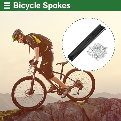 Motoforti Raios de bicicleta universais Raios de roda de bicicleta 14G 280 mm comprimento aço carbon