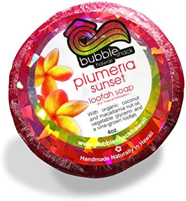 Bubble Shack Hawaii Plumeria Sunset Loofah Soap image 4