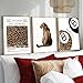 Set of 3 Trendy Leopard Wall Art Funky Lucky 8 Ball Posters Prints Preppy Room Aesthetic Cheetah Wall Decor Pictures for Girls Bedroom Apartment Dorm Unframed 12x16in