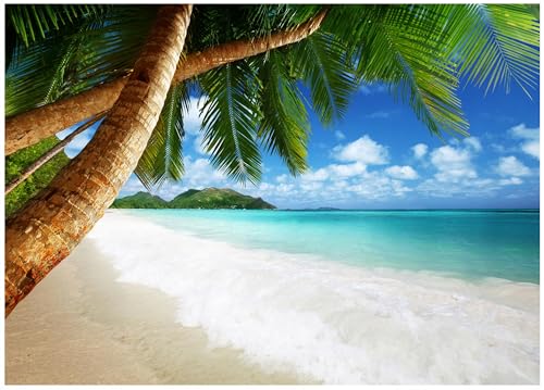 WallArena - Papier peint panoramique intissé plage et mer 350x250 cm - Papier peint photo non tissé - Pour salon et chambre à coucher - Effet 3D - Avec colle - Paysage tropical océan
