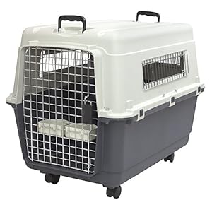 SportPet Designs Rollende Hundebox Grau