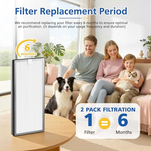 Image of 40 Replacement Filter for MA Series 40 Air Purifier 2 Pack