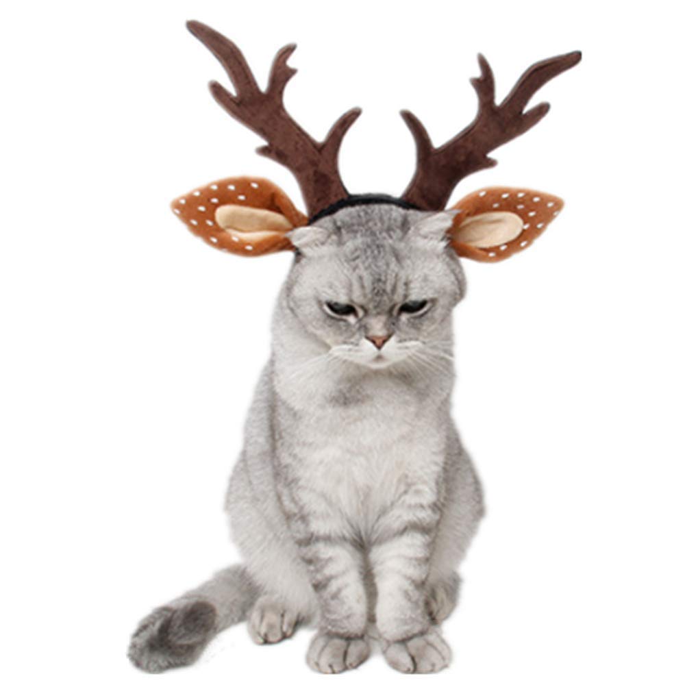 Amazon | IHOLLY ペット 帽子 クリスマス服 かわいいトナカイ