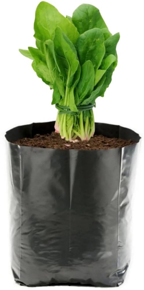 Quality Nursery Grow Bags (Size 7x8, Pack of 100), Nursery Polybags, Growbags, Poly Bags (B0CFYT51YG) Amazon Price History, Amazon Price Tracker