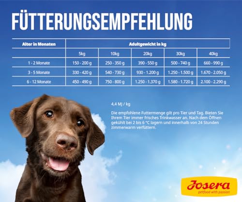 JOSERA Meat Lovers Junior Pure Beef (6 x 400 g) | Junior | Premium Nassfutter für Welpen & Junghunde | extra viel Rindfleisch & Lachsöl | getreidefrei | Alleinfutter | Hundefutter nass | 6er Pack