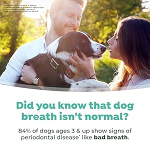 TropiClean Fresh Breath Foam for Dogs & Cats | Cat & Dog Dental Foam| Dog Breath Freshener Foam| Oral Care for Dogs & Cats | Made in The USA | 4.5 oz