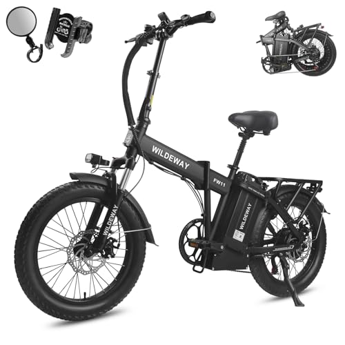 Wildeway Folding Electric Bike FW11