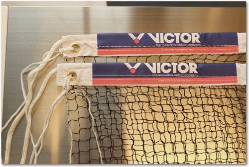 Victor Net B National - 6,10 M X 0,76 M by Erhard Sport