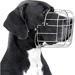 BronzeDog-Metal-Wire-Basket-Dog-Muzzle-Great-Dane-Mastiff-Leather-Adjustable-Muzzles-for-Large-Dogs Metal Wire Basket Dog Muzzle
