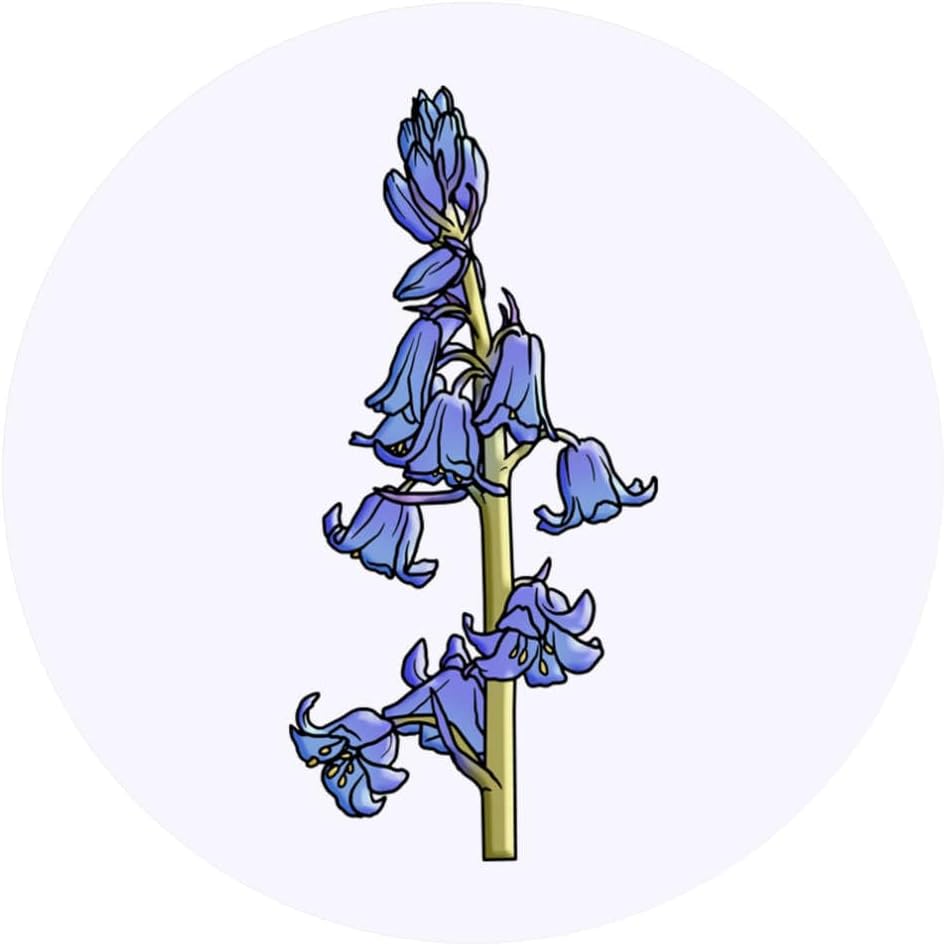 24 x 40mm Round 'Bluebells' Stickers (SK00042931)
