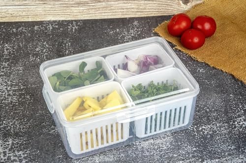 Image of 4 Grid | Fridge Storage organiser storage box and organiser | Container for Kitchen Storage Set, kitchen storage box, Vegetable Storage, kitchen accessories items for home jars containers