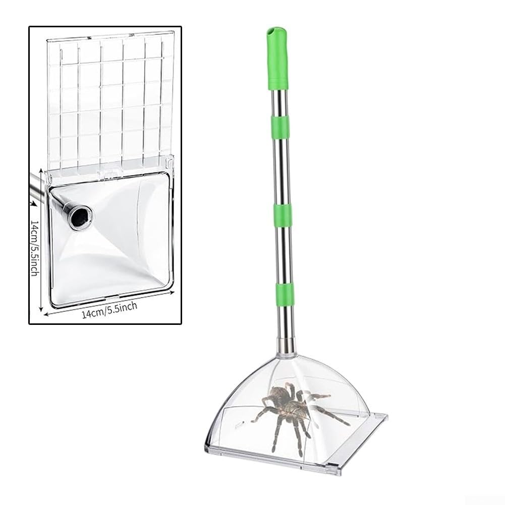 Cattura insetti con manico lungo regolabile per catturare insetti senza contatto con scatola trasparente per la rimozione sicura di ragni, lucertole e piccoli parassiti