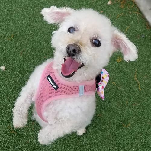 Voyager Step-In Air Hundegeschirr by Best Pet Supplies - All Weather Mesh Step in Vest Harness für kleine und mittlere Hunde, Rosa, size XS - Brust 33-37 cm