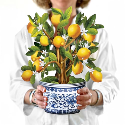 tbVJbgy[p[|bvAbvJ[hAy[p[t[u[P3D|bvAbvO[eBOJ[hAm[gJ[h&tAaJ[hALOJ[hAւ̂A12C`̃ubTc[