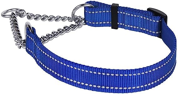 RvPaws Reflective Super Soft Dog Collar with Bell - Adjustable 16-24" Inch Nylon Martingale Reflective Collar for Small & Medium SizeDogs (Blue) (B0C9LS79M2) Amazon Price History, Amazon Price Tracker