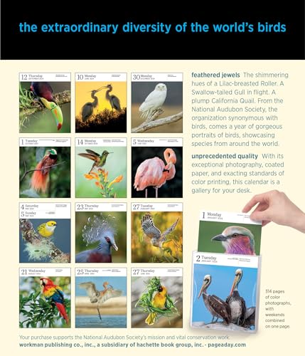 Audubon Birds Page-A-Day Gallery Calendar 2024: Hundreds of Birds, Expertly Captured by Top Nature Photographers - Image 2