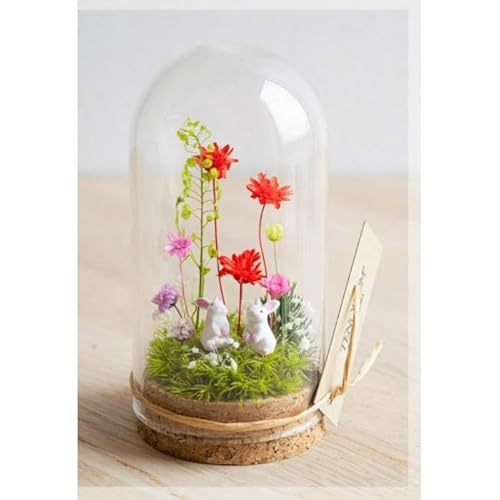 ピンクレッド_プチ・てのリウム [φ50mm][プリザーブド苔テラリウム]