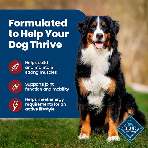 image for Blue Buffalo Life Protection Formula Adult Dry Dog Food, Helps Build a
