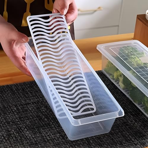 Image of Plastic Transparent Fridge Storage Boxes Organizer with Removable Drain Plate Storage Containers Box Keeps Fruits, Vegetables, Meat, Fish Fresh Longer (White, 1500-ML, Medium, Pack of 1)