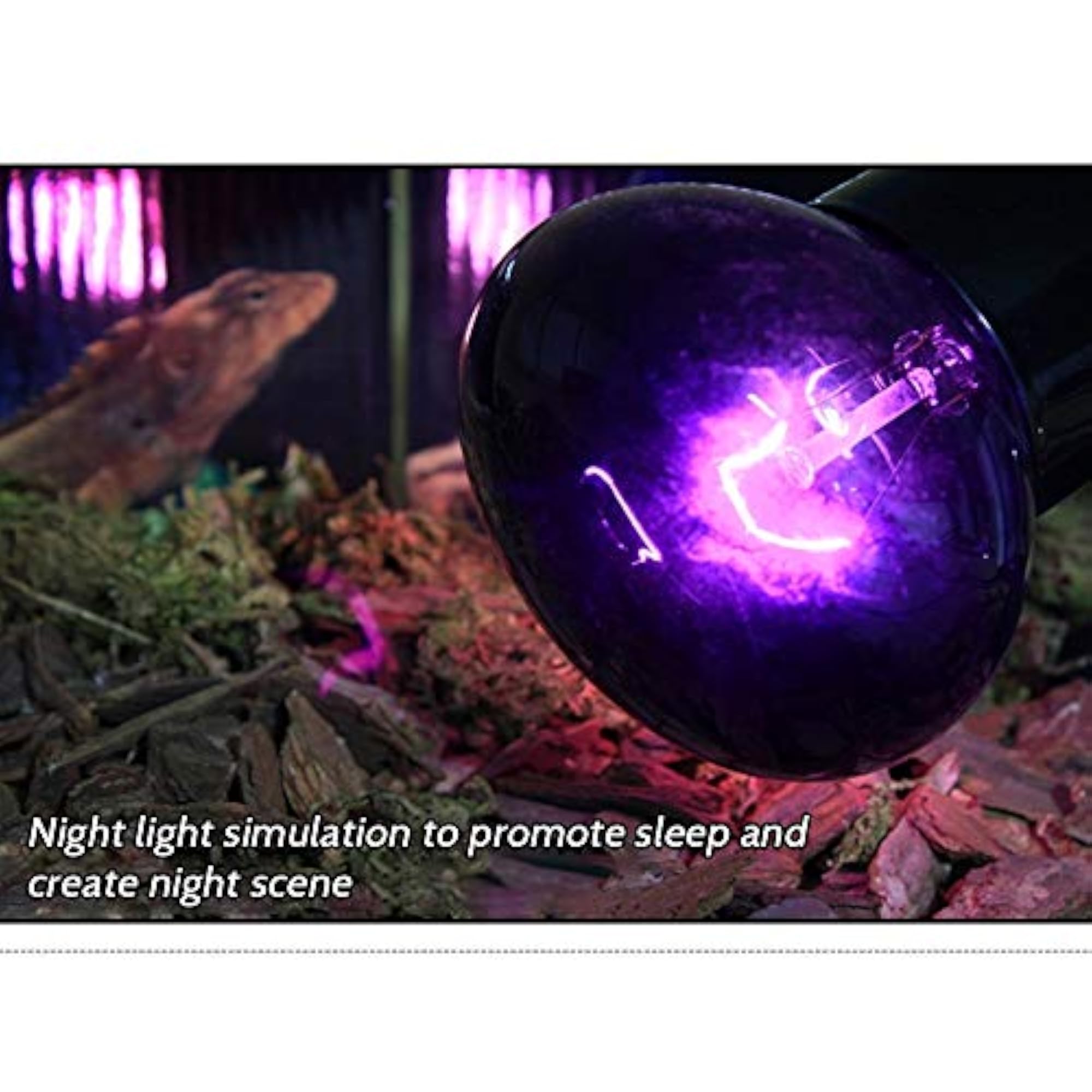 Tungsten Heat Emitter Light Bulb for Pets, E27 Base