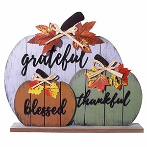 CYNOSA Fall Decorations for Home Blessed Grateful Thankful Fall Decor Wooden Pumpkin Tabletop Signs for Home Thanksgiving Farmhouse Living Room Harvest CYNOSA Fall Decorations for Home Blessed Grateful Thankful Fall Decor Wooden Pumpkin Tabletop Signs for Home Thanksgiving Farmhouse Living Room Harvest