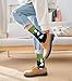 Chalier 5 Pairs Womens Fun Famous Painting Patterned Art Socks Cotton Printed Cool Novelty Funny Socks for Women, All Classic