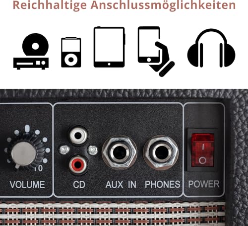 Rocktile Scream 15 Gitarrenverstärker Mini Combo Amp (15 Watt Amplifier, 2-Kanäle, Portable, AUX-In für MP3/CD, 3-Band Equalizer, Kopfhöreranschluss)