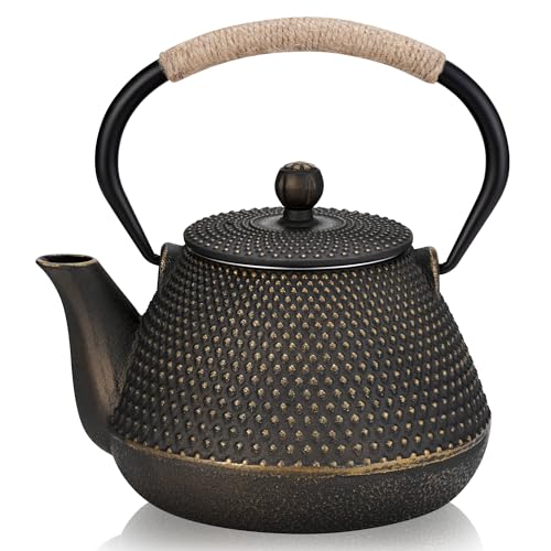 DRNKNSTX Cast Iron Teapot 32 oz