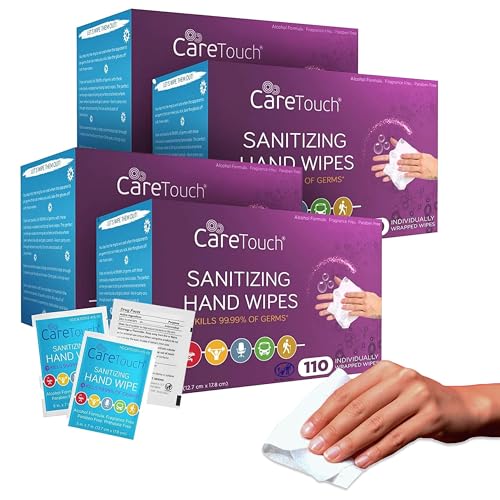 Care Touch Hand Sanitizer Wipes – 440 Individually Wrapped Packets (Box of 4, 110 Wipes Each)