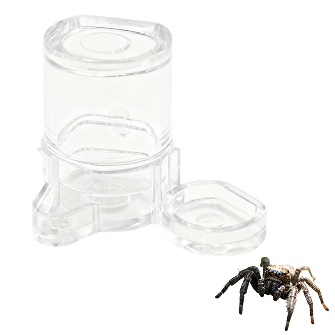 Tsangbaby Jumping Spider Water Dispenser Jumping Spider Food Dish Small Transparent Jump Spiders Enclosure Accessories for Jump Spiders Tarantulas Praying Mantises Arboreal Animals
