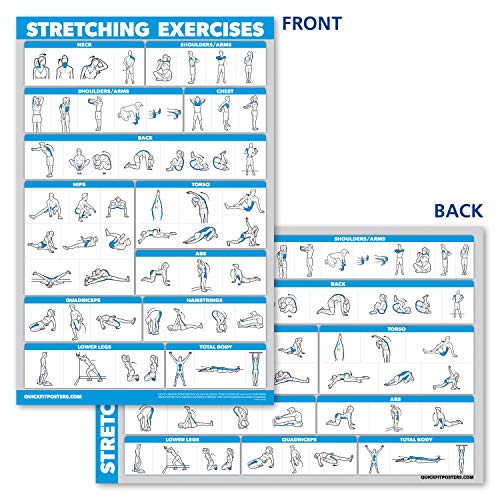 10 Pack - Exercise Workout Poster Set - Dumbbell, Suspension, Kettlebell, Resistance Bands, Stretching, Bodyweight, Barbell, Yoga Poses, Exercise Ball, Muscular System Chart (LAMINATED, 18
