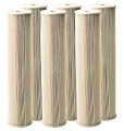 Pentair Pentek ECP5-20BB Big Blue Sediment Water Filter, 20-Inch, Whole House Heavy Duty Pleated Cellulose Polyester Replacement Cartridge, 20" x 4.5", White End-Cap, 5 Micron, Pack of 6