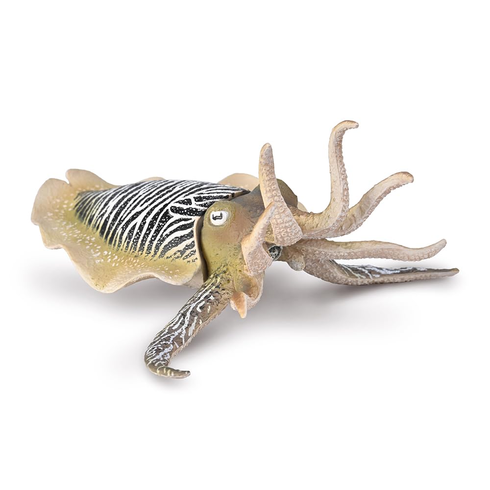 CollectA Common Cuttlefish - Realistic Hand Finished Sea Life Creature, Ocean Toys & Figures, Animal Models, Wildlife Gifts For Toddlers & Kids, Age 3 Years +