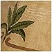 Palm Leaf Faux Leather Lamp Shade 9X18x13 (Spider)