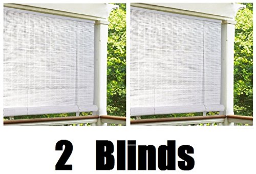 Lewis Hyman Vinyl Horizontal Rollup Shade 72 H x 48 W White Cordless