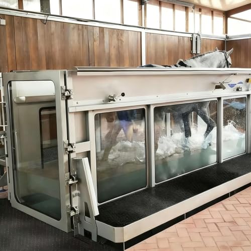 Image of Equine Underwater Treadmill Hydro Exercise System