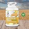 Colours of Life Lievito di Birra Puro - Integratore di Lievito di Birra, naturalmente ricco di nutrienti - Vegano, 120 compresse #3