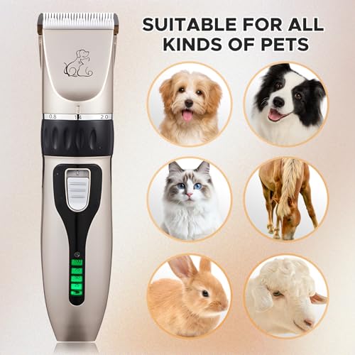 Anluomania Hundeschermaschine, Haarschneidemaschine für Hunde, Tierhaarschneidemaschine, Tierhaarschneider, Leiser Wiederaufladbarer, Kabelloser, mit 4 Führungskamm, für Hunde Katzen Alle Felltypen